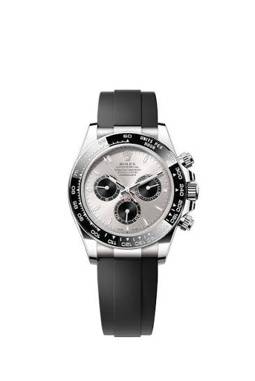 Daytona Oyster Flex (Ghost)